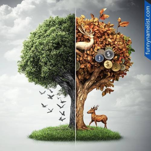 Hedge Fund Names Inspired by Nature & Animals