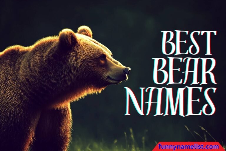 bear names
