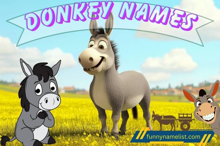 donkey names