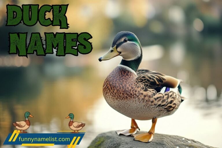 duck names