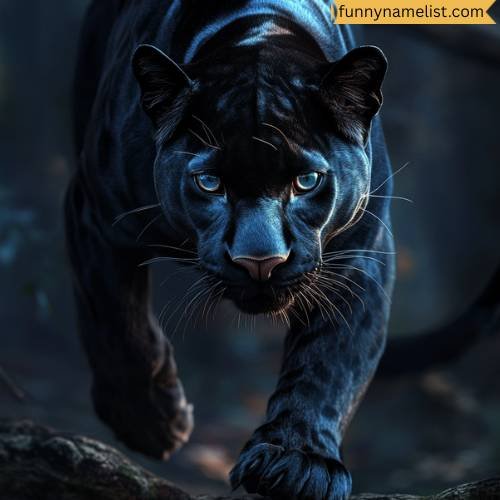 Female Panther Names