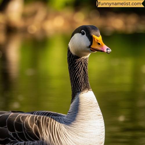 Male Goose Names