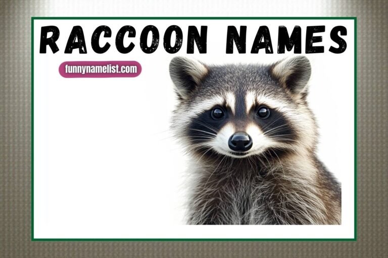 raccoon names